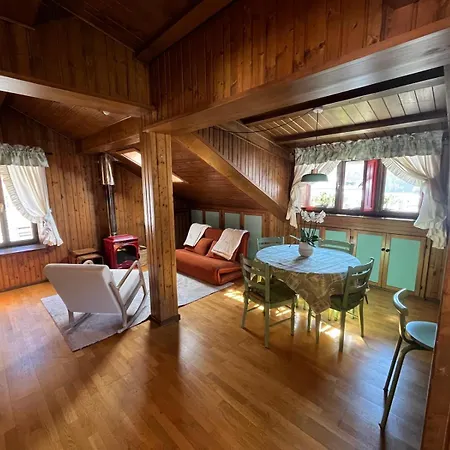 Renovated Mountain View Appartement