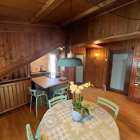 Renovated Mountain View *