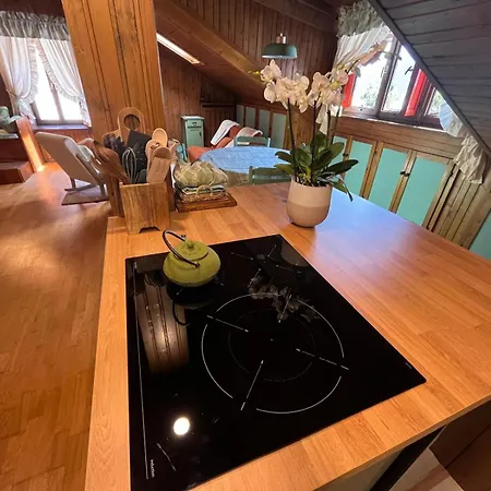Renovated Mountain View *