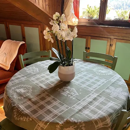 Renovated Mountain View Appartement