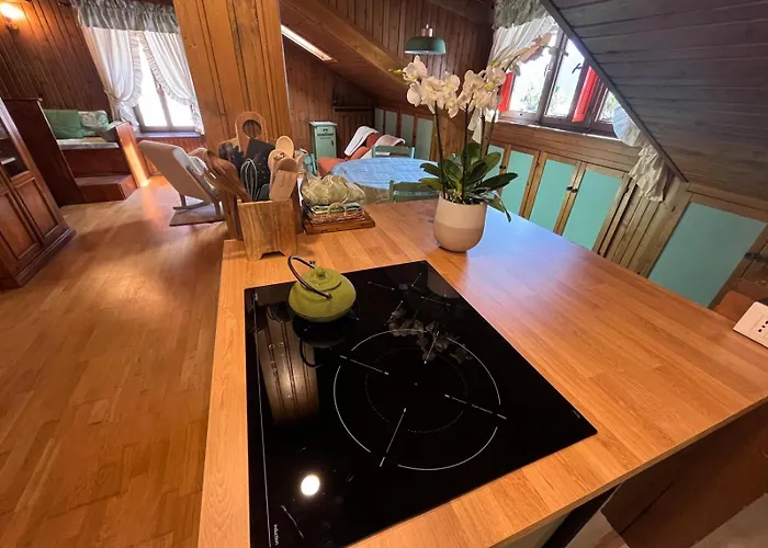 Renovated Mountain View *